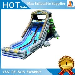Commercial Inflatable Tropical Water Slide for Kids' Fun