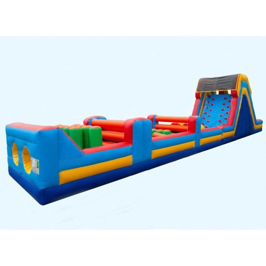 Giant Outdoor Inflatable Slide for Epic Water Adventures