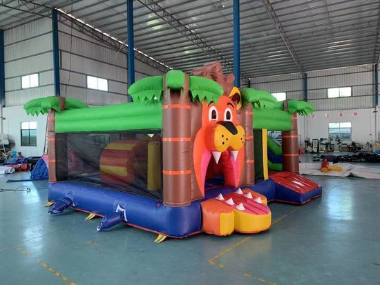 Colorful Inflatable Tarpaulin Bounce House for Family Gatherings
