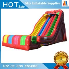 Commercial Inflatable Tropical Water Slide for Kids' Fun