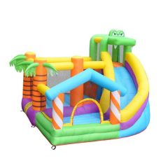 Giant Playhouse PVC Tarpaulin Cartoon Inflatable Bounce with Slide
