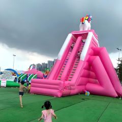 Giant PVC Tarpaulin Inflatable Slide with Pool