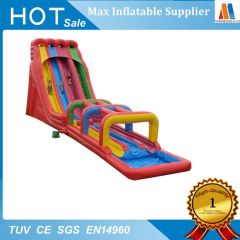 Commercial Inflatable Tropical Water Slide for Kids' Fun