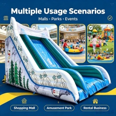 Fun Inflatable Slide Toy for Amusement Parks and Parties