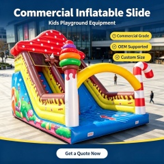 Fun Inflatable Slide Toy for Amusement Parks and Parties