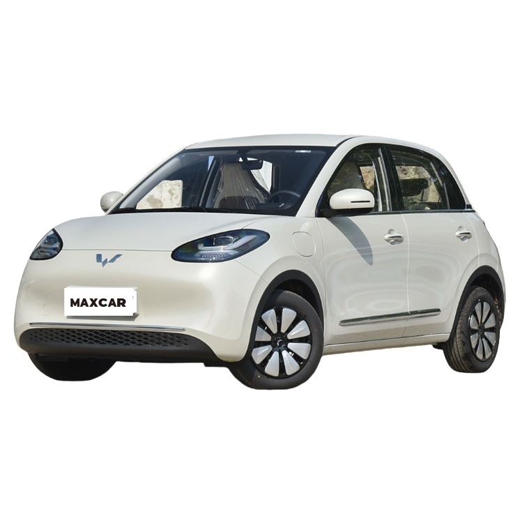 Wuling Bingguo Electric Car