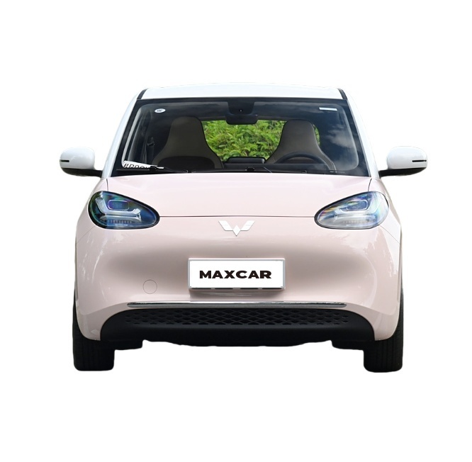 Wuling Bingguo Electric Car