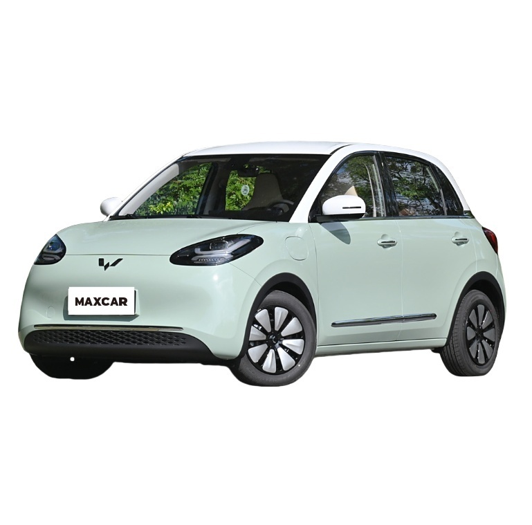 Wuling Bingguo Electric Car