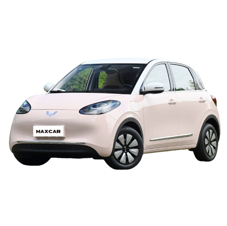 Wuling Bingguo Electric Car