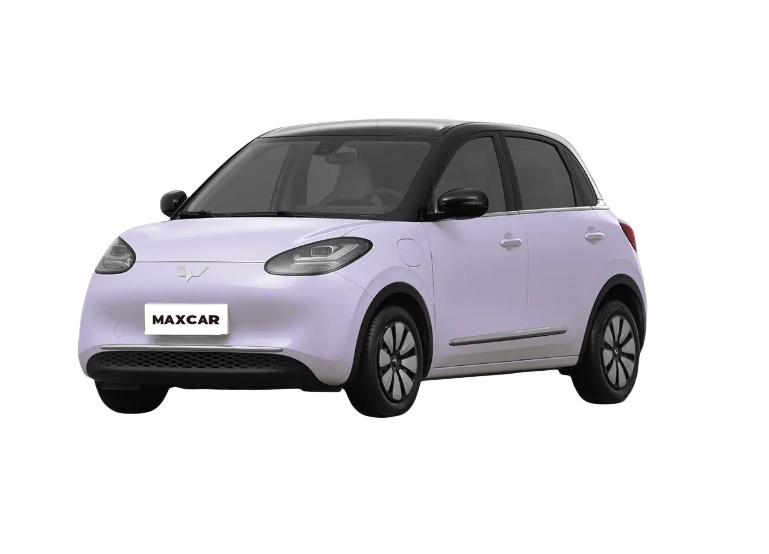 Wuling Bingguo Electric Car