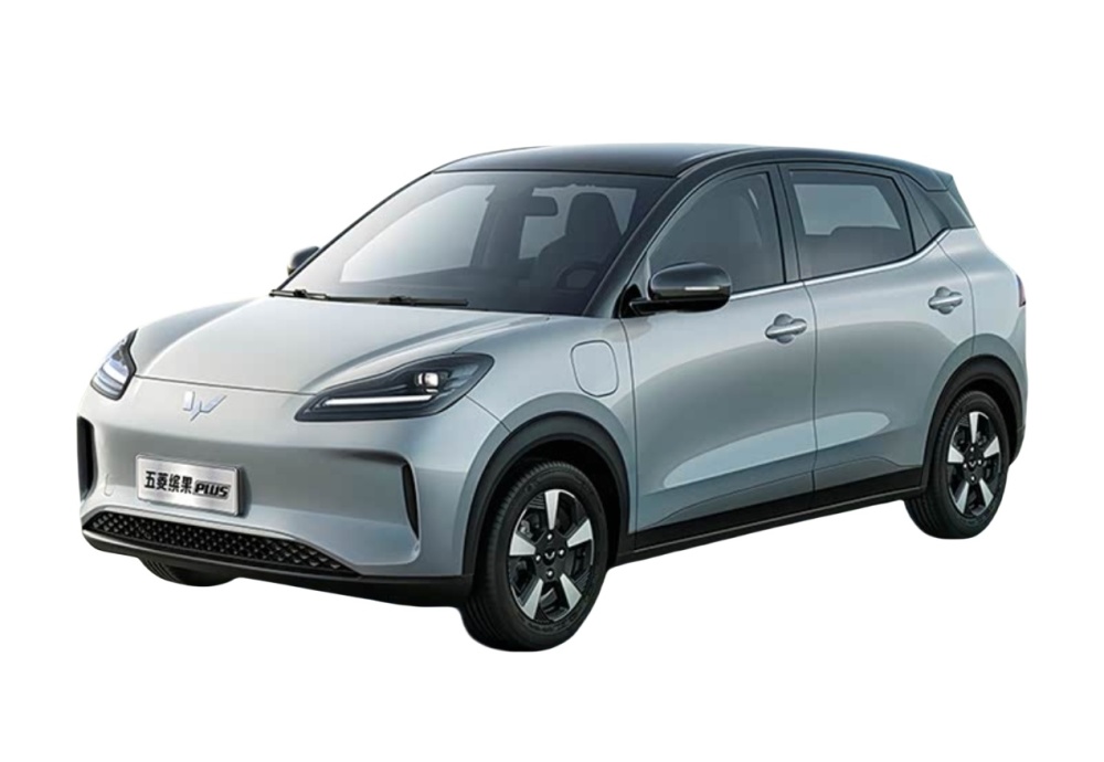 Wuling Bingguo Plus electric car electric SUV 401 km