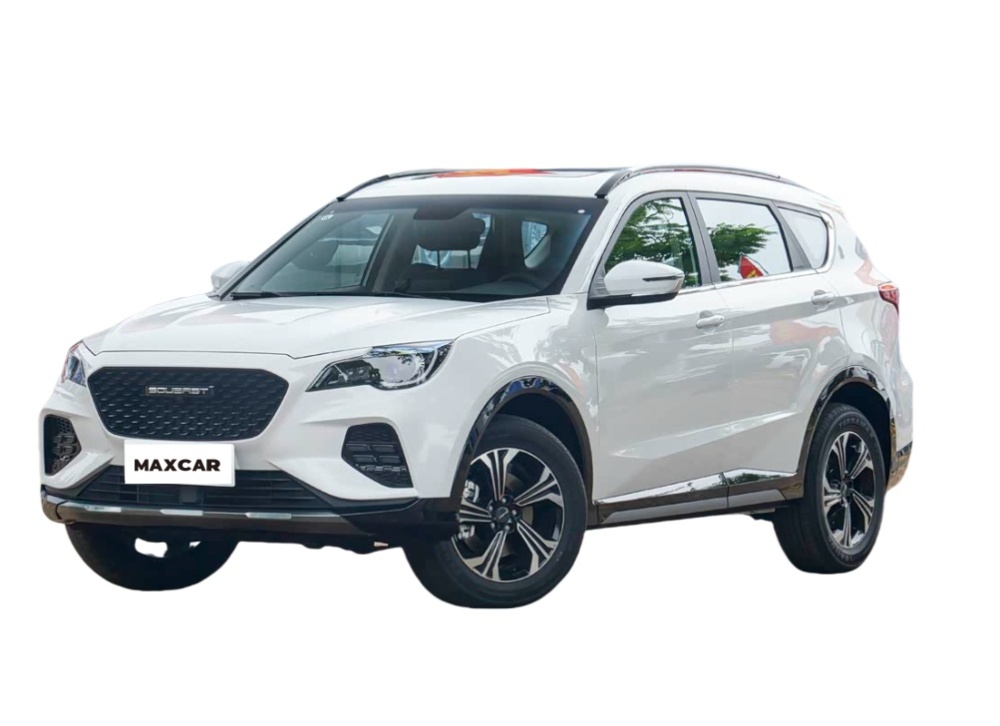 South east Motors DX8S gas car 2022 SUV cheap price