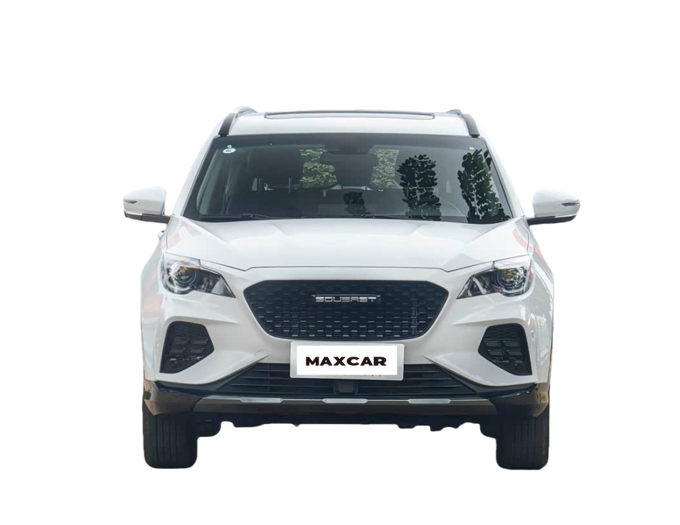 South east Motors DX8S gas car 2022 SUV cheap price