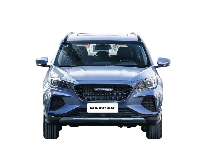 South east Motors DX8S gas car 2022 SUV cheap price