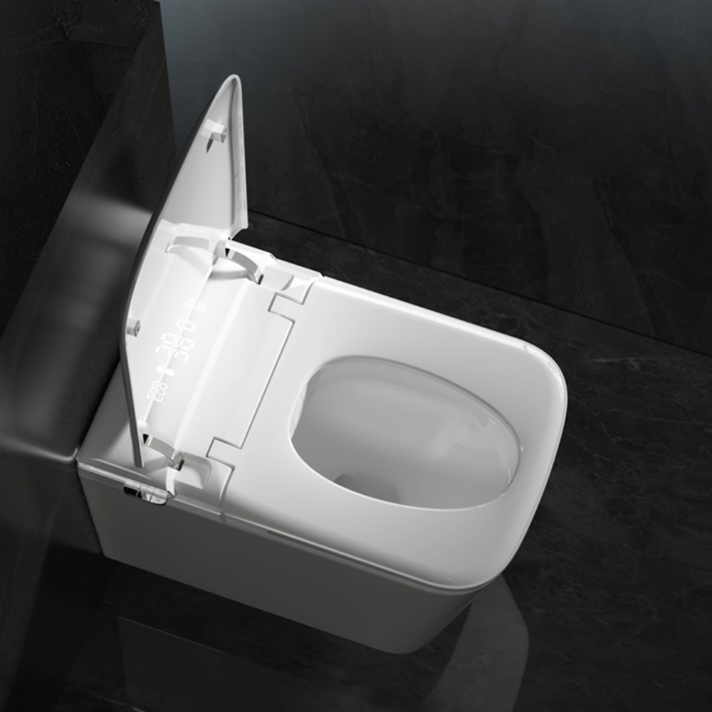 BAYTINA Smart toilet-F2