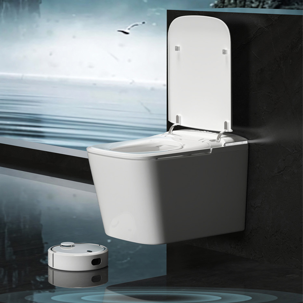 BAYTINA Smart toilet-F2