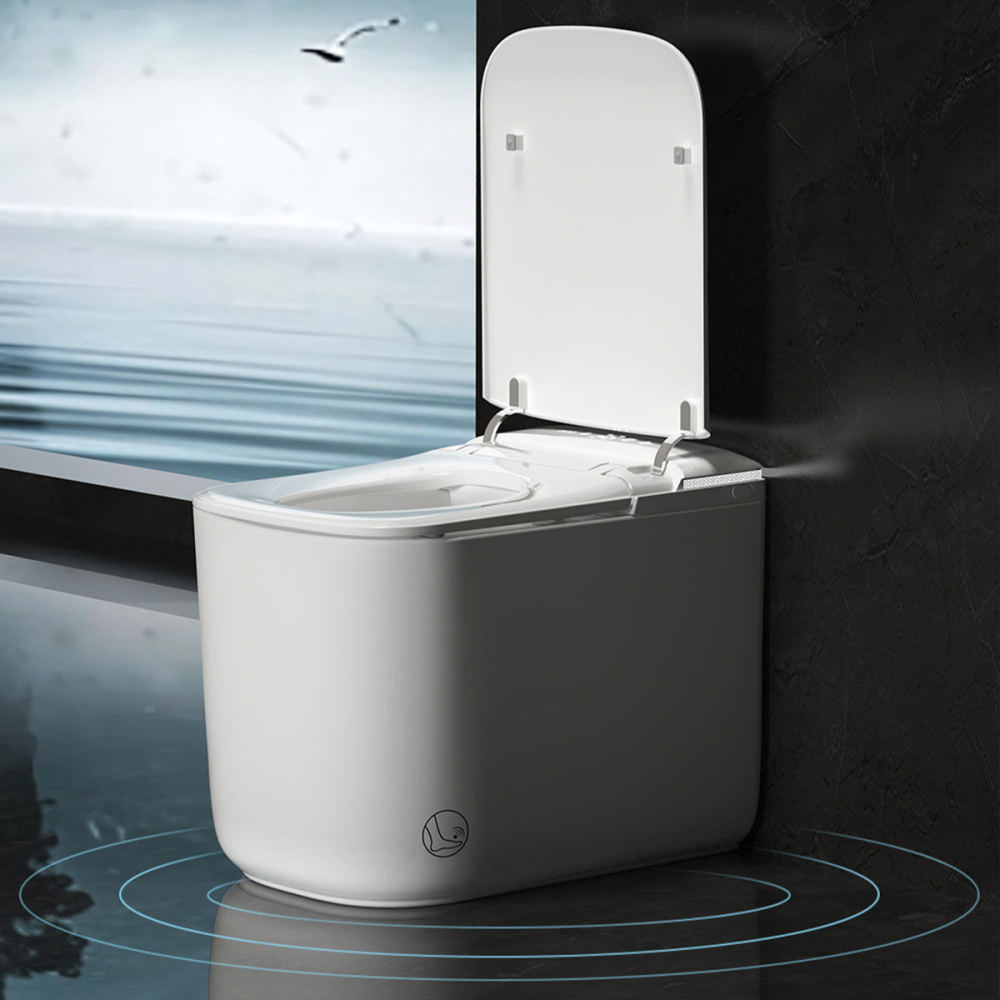 BAYTINA Smart toilet TINA-F