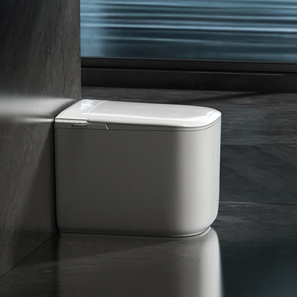 BAYTINA Smart toilet TINA-F