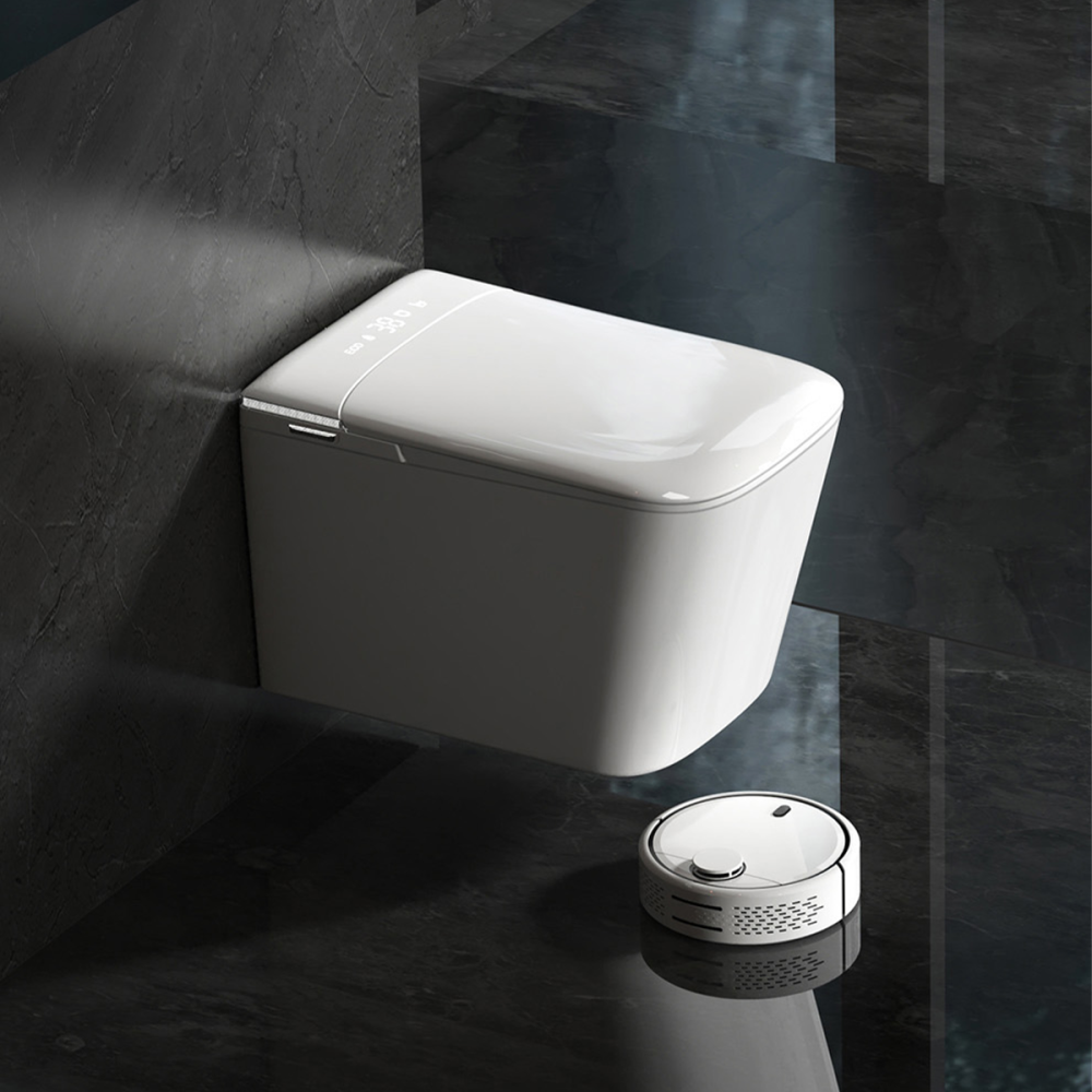BAYTINA Smart toilet-F2