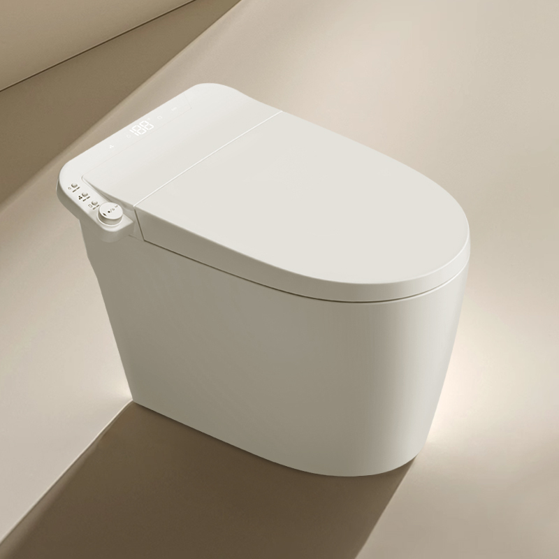 BAYTINA Smart Toilet  TD-A