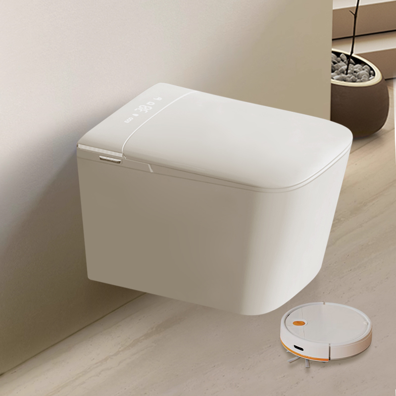 BAYTINA Smart Toilet  TINA-F2