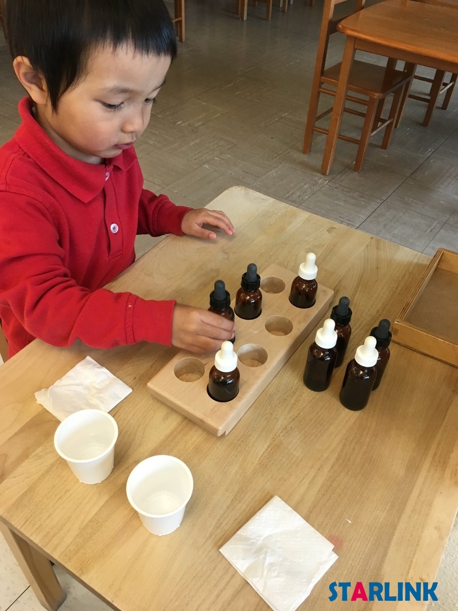 Montessori Tasting Exercise High Quality Service Toy Wooden Montessori Materials For Kids