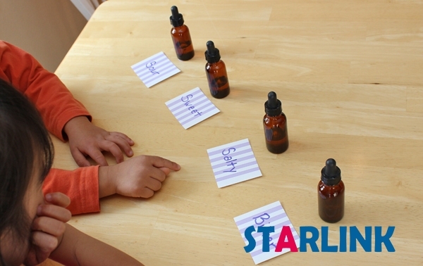 Montessori Tasting Exercise High Quality Service Toy Wooden Montessori Materials For Kids