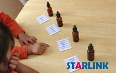 Montessori Tasting Exercise High Quality Service Toy Wooden Montessori Materials For Kids