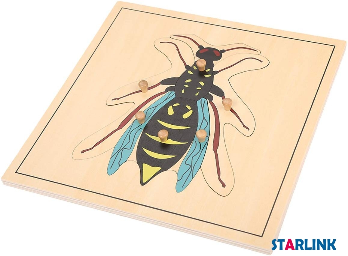 Montessori Materials Educational Tools Insect Wasp Puzzle Preschool Early Montessori Toys for Toddlers