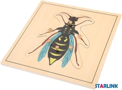 Montessori Materials Educational Tools Insect Wasp Puzzle Preschool Early Montessori Toys for Toddlers