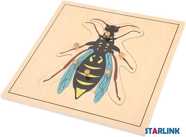 Montessori Materials Educational Tools Insect Wasp Puzzle Preschool Early Montessori Toys for Toddlers