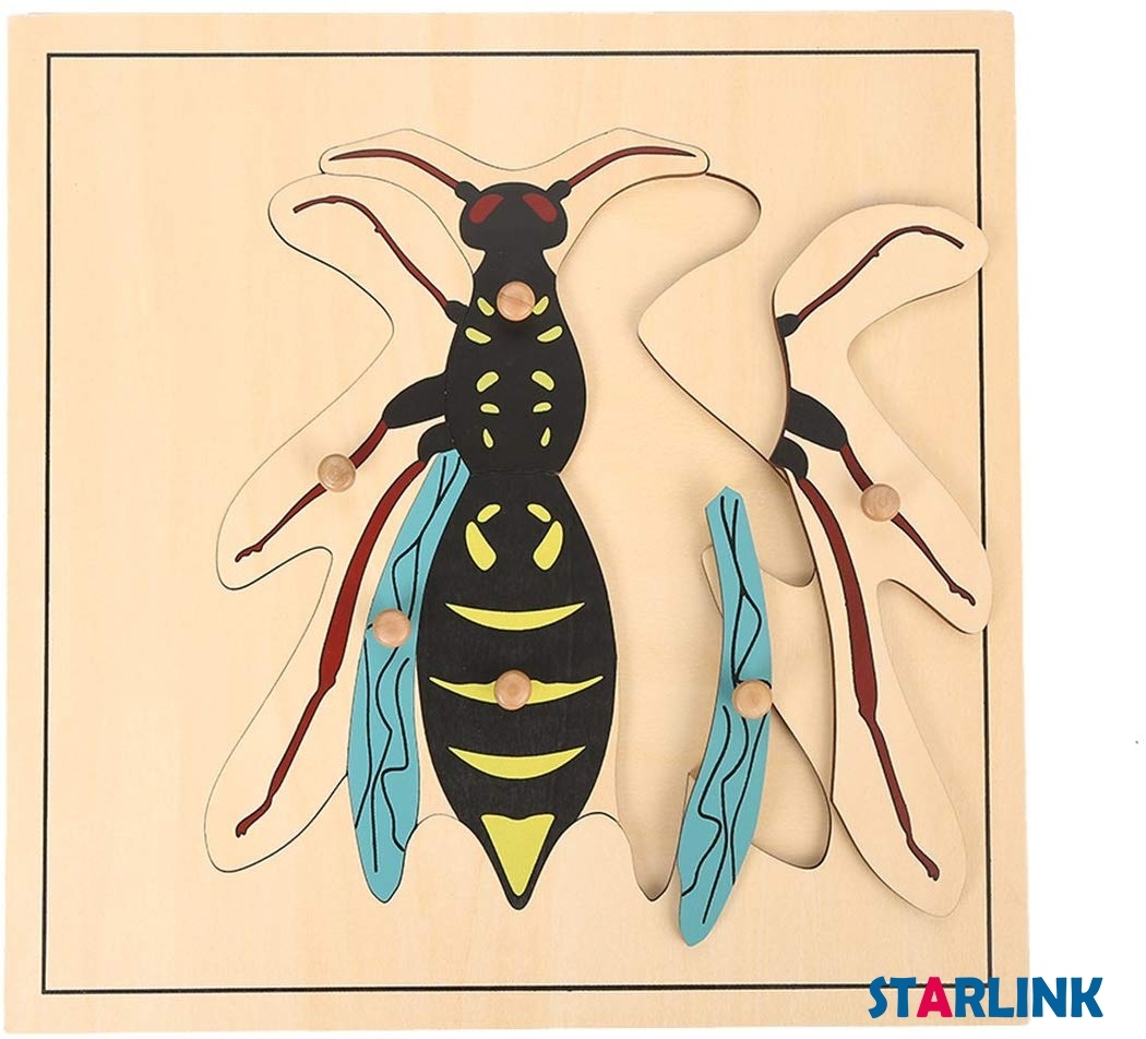 Montessori Materials Educational Tools Insect Wasp Puzzle Preschool Early Montessori Toys for Toddlers