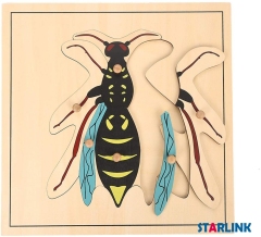 Montessori Materials Educational Tools Insect Wasp Puzzle Preschool Early Montessori Toys for Toddlers