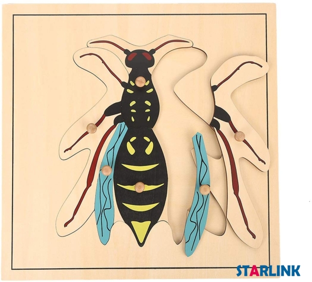 Montessori Materials Educational Tools Insect Wasp Puzzle Preschool Early Montessori Toys for Toddlers