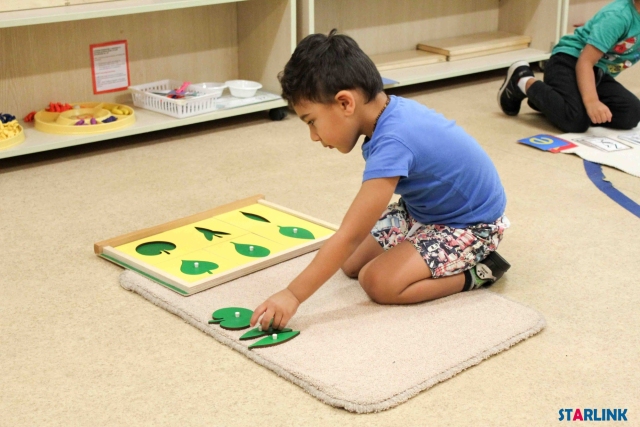 Baby Toys Montessori Botany Leaf Cabinet Leaf Four Cabinet Leaf-Shaped Panel Leaf Panel Cabinet Early Childhood Preschool Kid
