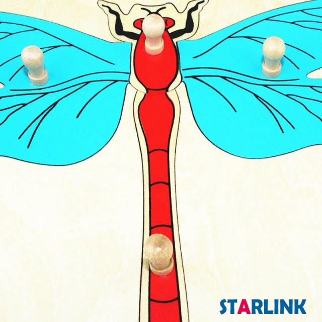 Montessori Materials Educational Tools Insect Dragonfly Puzzle Preschool Early Montessori Toys for Toddlers