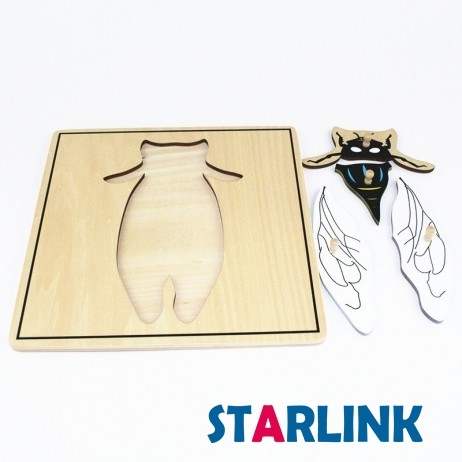 Montessori Materials Educational Tools Insect Cicada Puzzle Preschool Early Montessori Toys for Toddlers