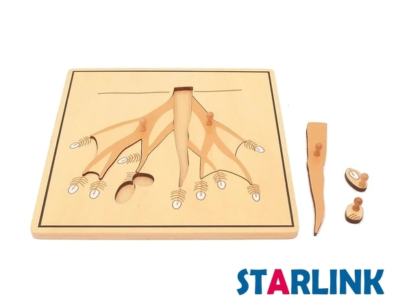 Baby Educational Montessori Material Wooden Jigsaw Puzzle Root Puzzle Kids Toy Play Fun