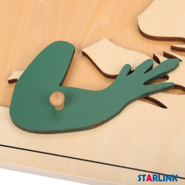 Montessori Materials Educational Tools Animal Frog Puzzle Preschool Early Montessori Toys for Toddlers