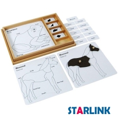 Montessori Material Animal Puzzle Activity Set Learning Toys for Toddlers Educational Toys