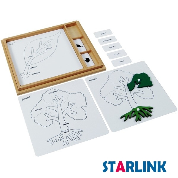 Montessori Material Botany Puzzle Activity Set Learning Toys for Toddlers Educational Toys