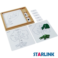 Montessori Material Botany Puzzle Activity Set Learning Toys for Toddlers Educational Toys