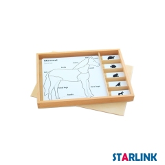 Montessori Material Animal Puzzle Activity Set Learning Toys for Toddlers Educational Toys