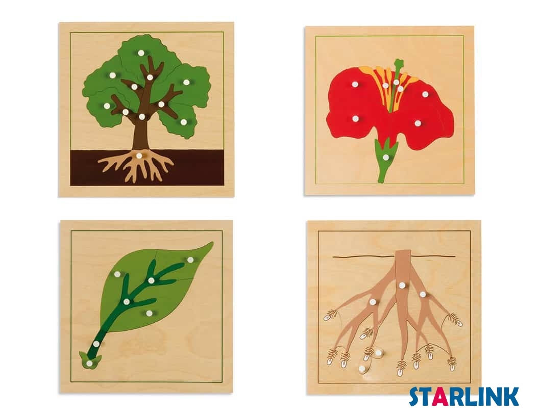 Baby Educational Montessori Material Wooden Jigsaw Puzzle Leaf Puzzle Kids Toy Play Fun