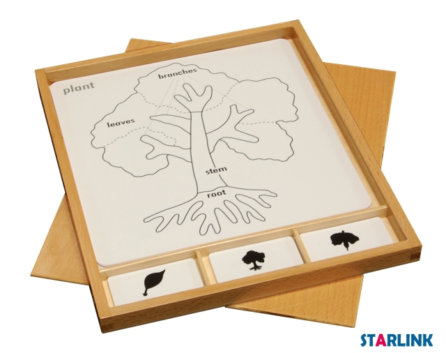 Montessori Material Botany Puzzle Activity Set Learning Toys for Toddlers Educational Toys