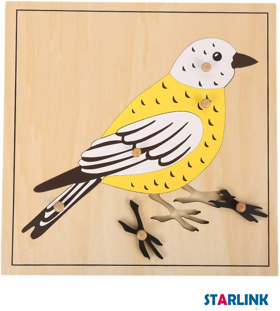 Montessori Materials Educational Tools Animal Bird Puzzle Preschool Early Montessori Toys for Toddlers