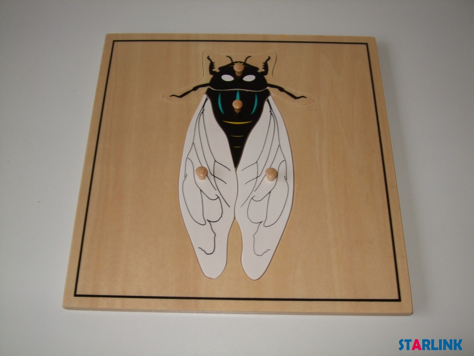 Montessori Materials Educational Tools Insect Cicada Puzzle Preschool Early Montessori Toys for Toddlers