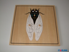 Montessori Materials Educational Tools Insect Cicada Puzzle Preschool Early Montessori Toys for Toddlers