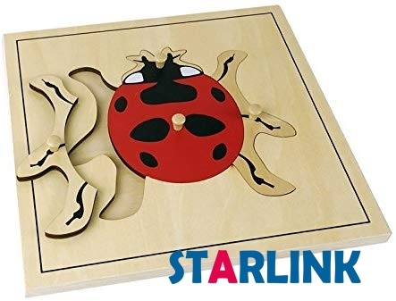 Montessori Materials Educational Tools Insect Ladybug Puzzle Preschool Early Montessori Toys for Toddlers