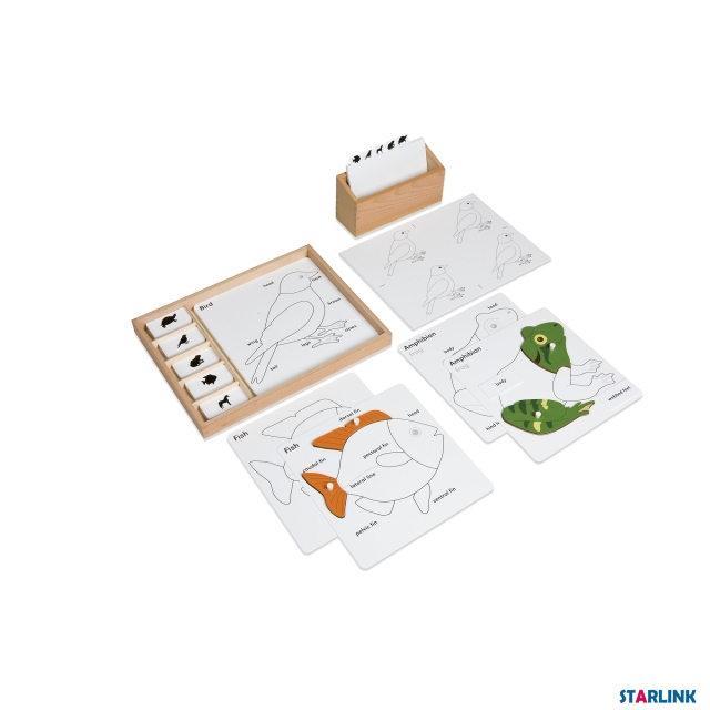 Montessori Material Botany Puzzle Activity Set Learning Toys for Toddlers Educational Toys
